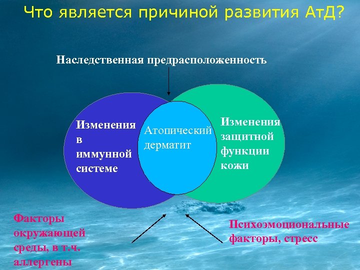 Что является причиной развития Ат. Д? Наследственная предрасположенность Изменения Атопический Изменения защитной в дерматит