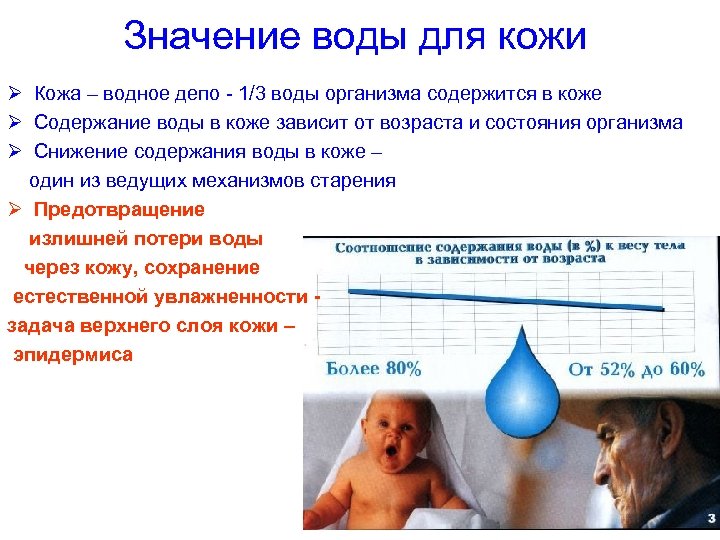 Значение воды для кожи Кожа – водное депо - 1/3 воды организма содержится в