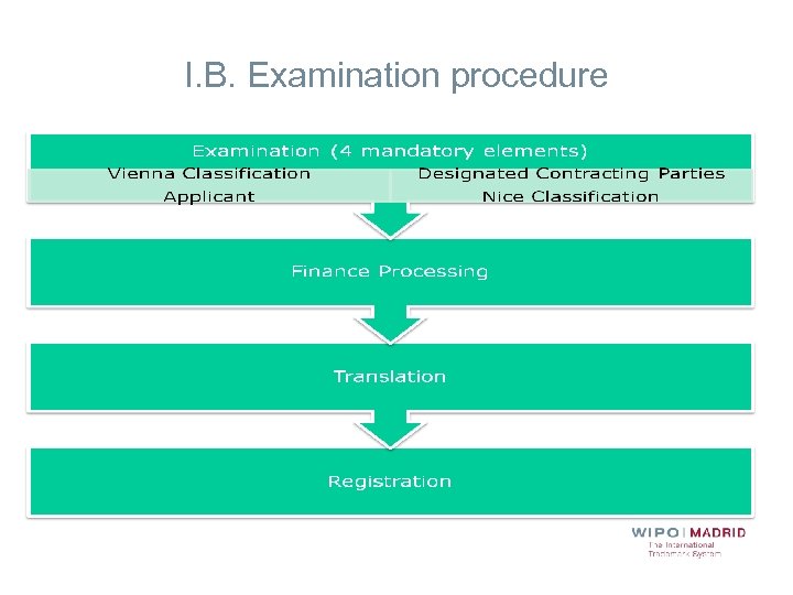 I. B. Examination procedure 