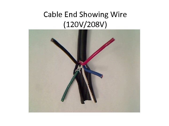 Cable End Showing Wire (120 V/208 V) 