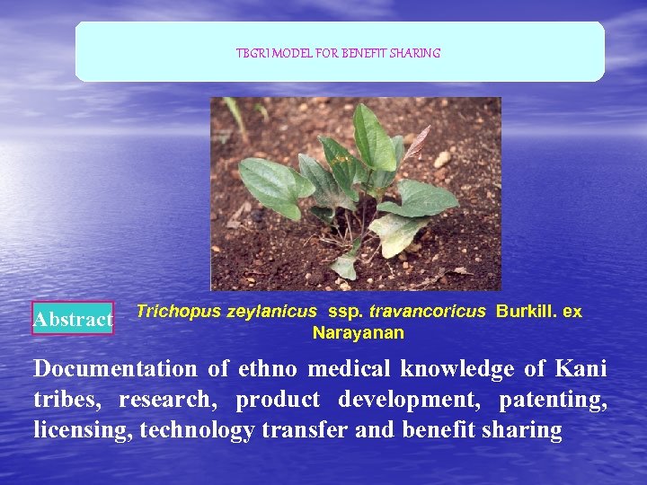 TBGRI MODEL FOR BENEFIT SHARING Abstract Trichopus zeylanicus ssp. travancoricus Burkill. ex Narayanan Documentation