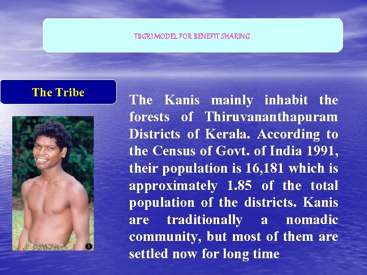 TBGRI MODEL FOR BENEFIT SHARING The Tribe The Kanis mainly inhabit the forests of