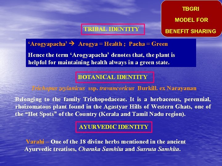 TBGRI MODEL FOR TRIBAL IDENTITY BENEFIT SHARING ‘Arogyapacha’ Arogya = Health ; Pacha =