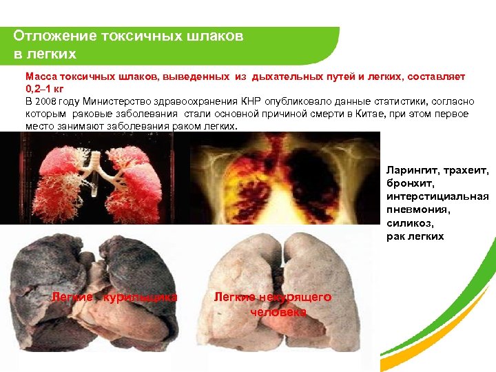 Отложение токсичных шлаков в легких Масса токсичных шлаков, выведенных из дыхательных путей и легких,