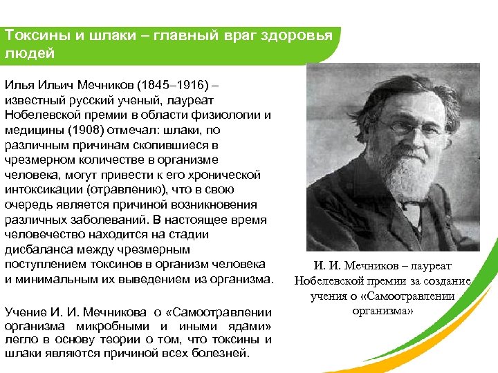 Токсины и шлаки – главный враг здоровья людей Илья Ильич Мечников (1845– 1916) –