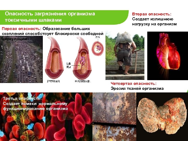 Опасность загрязнения организма токсичными шлаками Вторая опасность: Создает излишнюю нагрузку на организм Первая опасность: