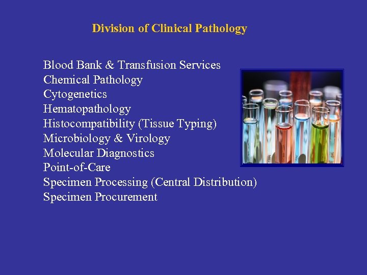 Division of Clinical Pathology Blood Bank & Transfusion Services Chemical Pathology Cytogenetics Hematopathology Histocompatibility