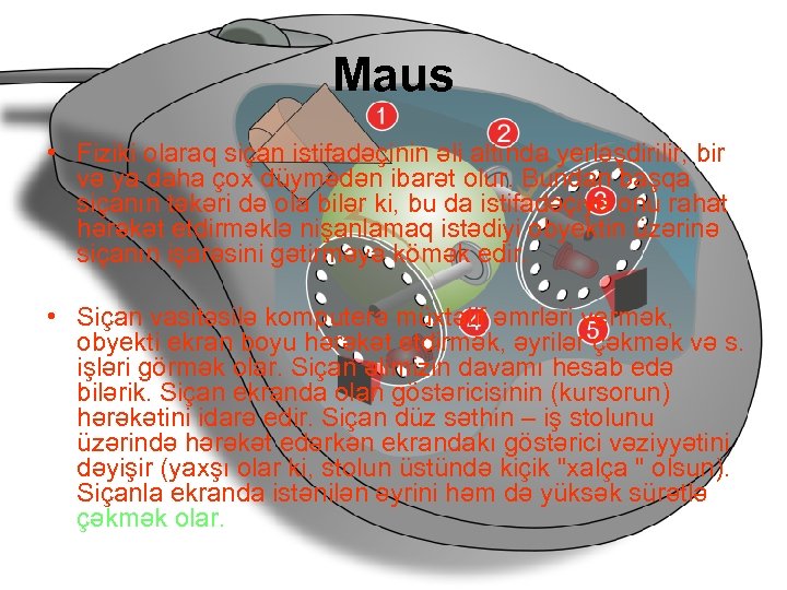 Maus • Fiziki olaraq siçan istifadəçinin əli altında yerləşdirilir, bir və ya daha çox