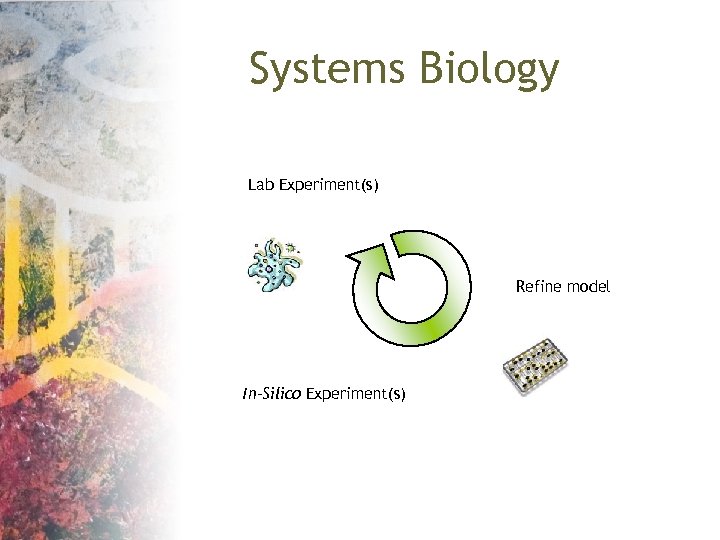 Systems Biology Lab Experiment(s) Refine model In-Silico Experiment(s) 