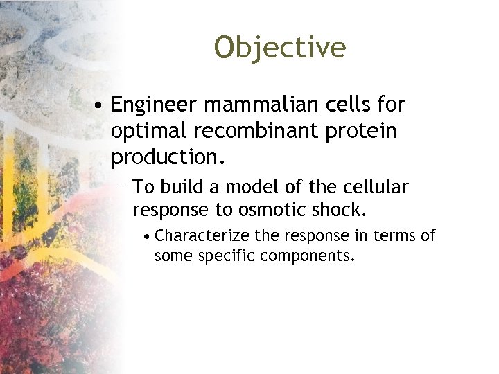 Objective • Engineer mammalian cells for optimal recombinant protein production. – To build a