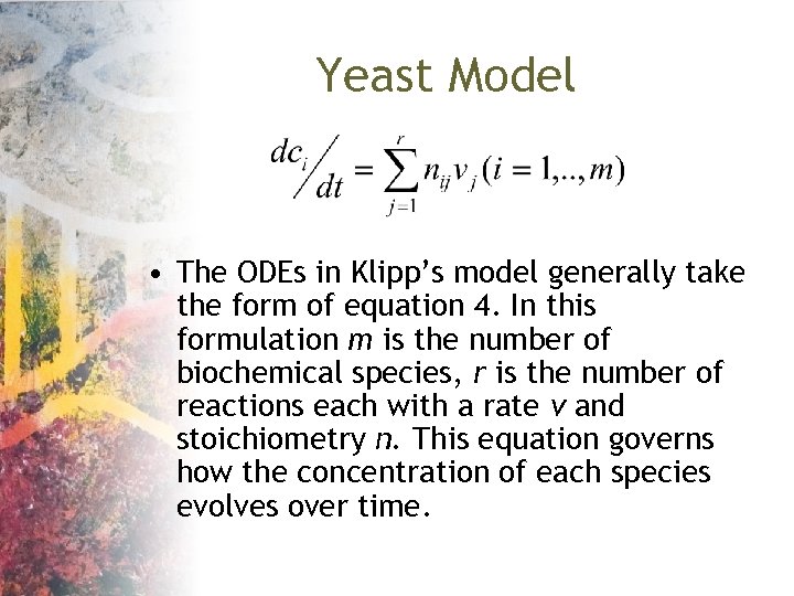 Yeast Model • The ODEs in Klipp’s model generally take the form of equation