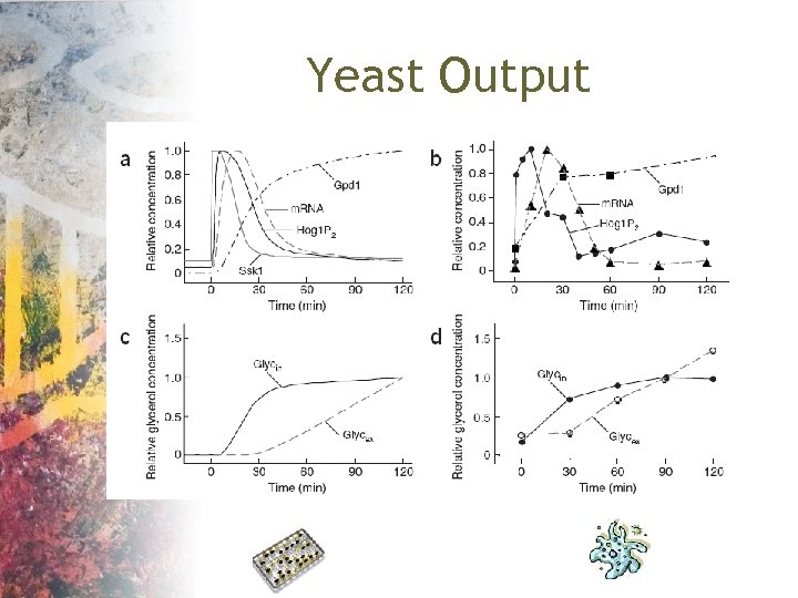 Yeast Output 