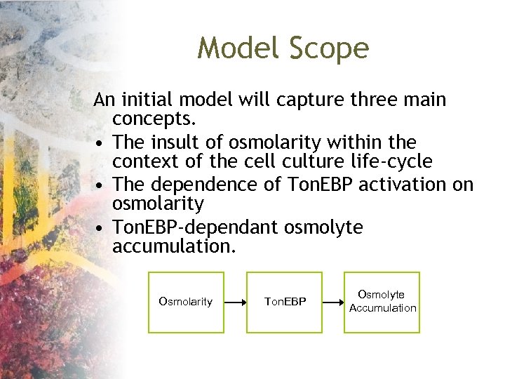 Model Scope An initial model will capture three main concepts. • The insult of