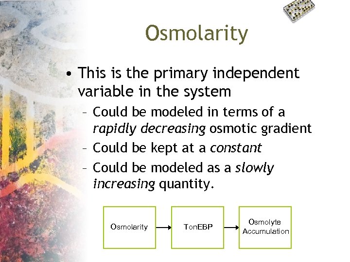 Osmolarity • This is the primary independent variable in the system – Could be