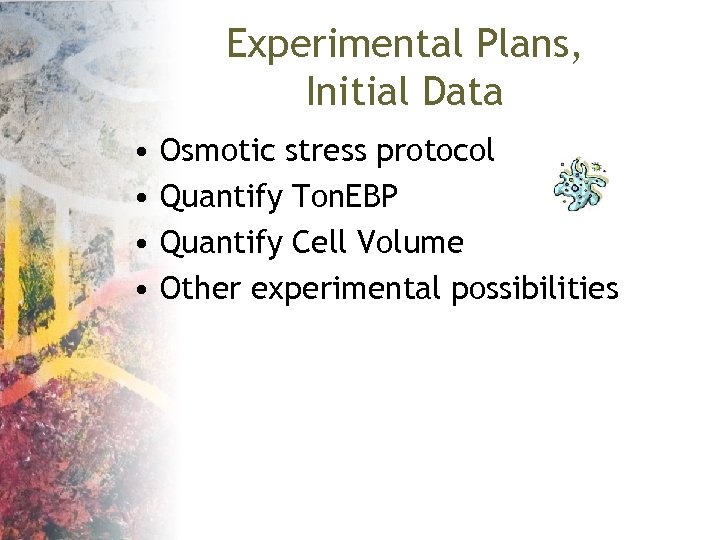 Experimental Plans, Initial Data • • Osmotic stress protocol Quantify Ton. EBP Quantify Cell