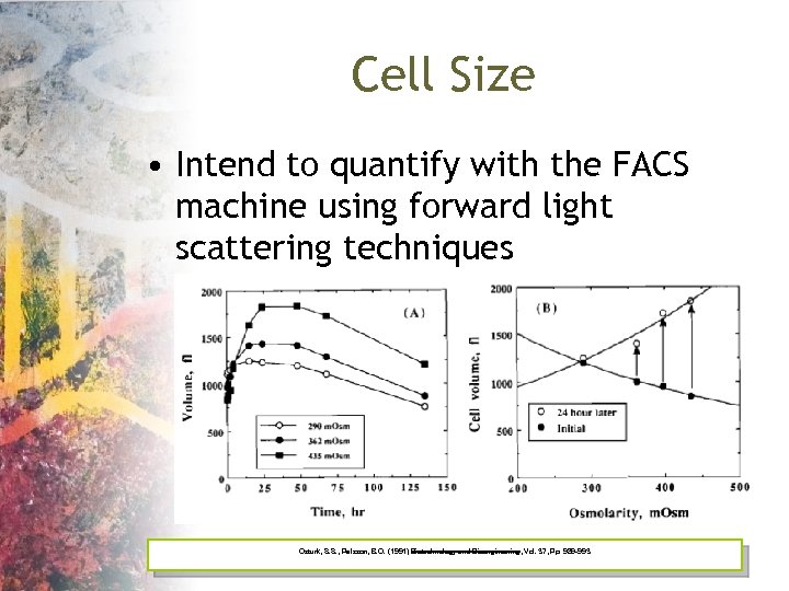 Cell Size • Intend to quantify with the FACS machine using forward light scattering