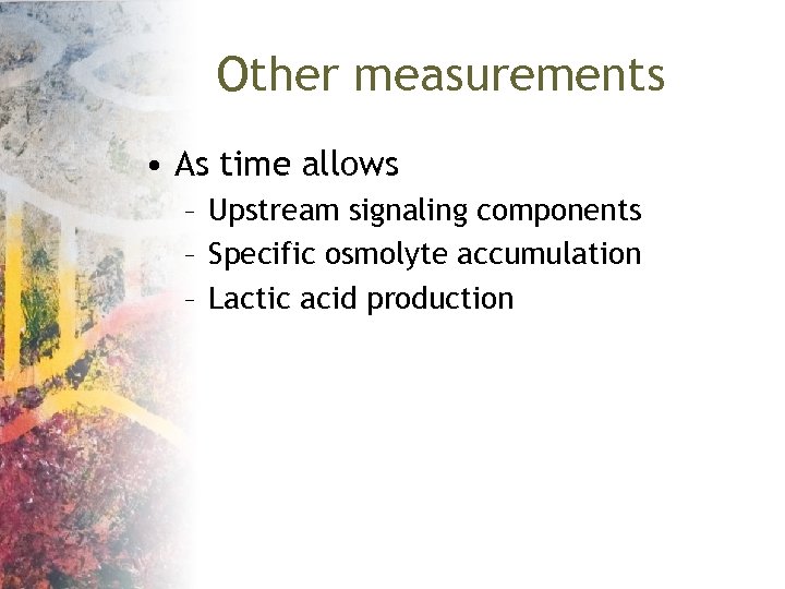 Other measurements • As time allows – Upstream signaling components – Specific osmolyte accumulation