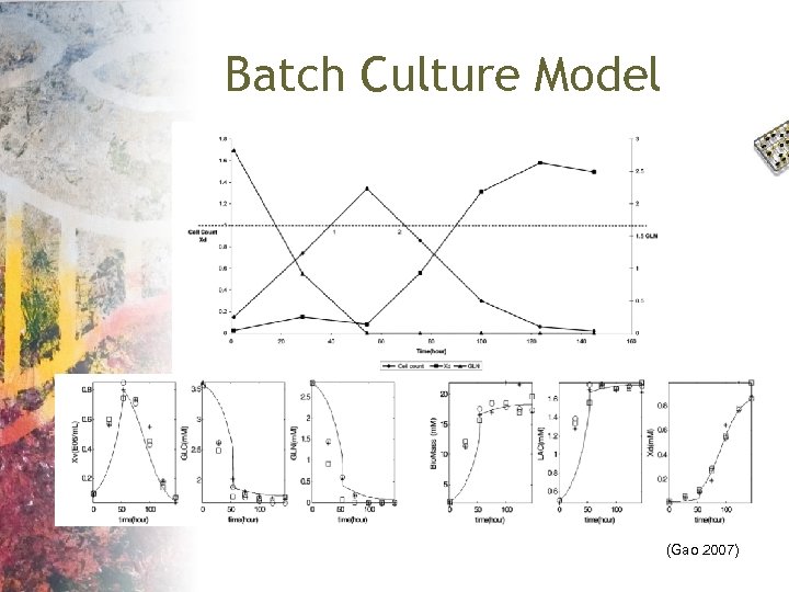 Batch Culture Model (Gao 2007) 