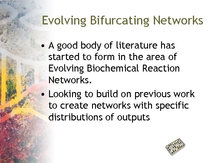 Evolving Bifurcating Networks • A good body of literature has started to form in