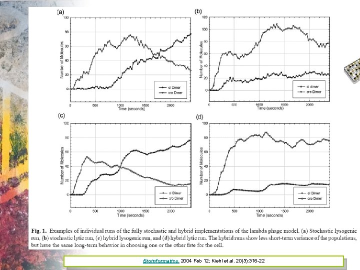 Bioinformatics. 2004 Feb 12; Kiehl et al. 20(3): 316 -22 