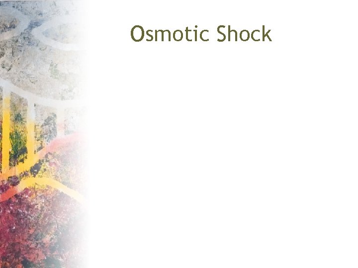 Osmotic Shock 