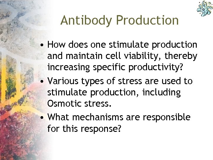 Antibody Production • How does one stimulate production and maintain cell viability, thereby increasing