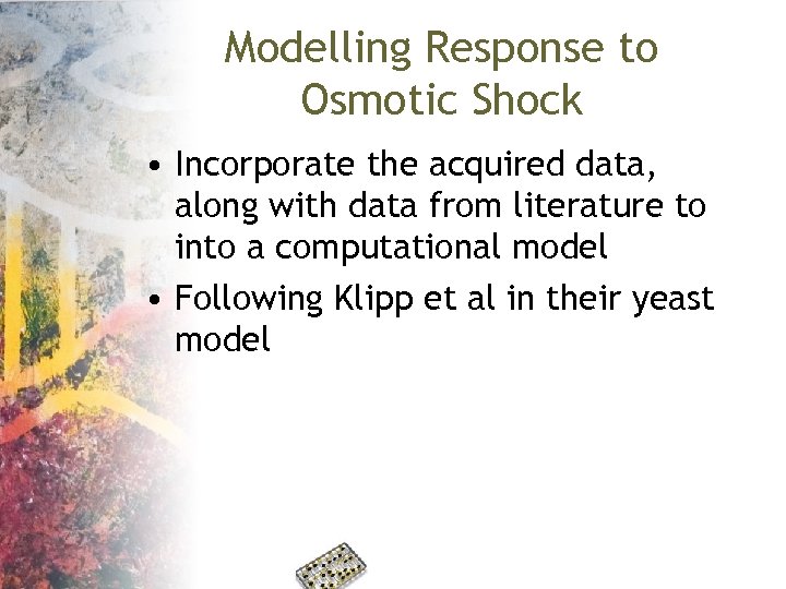 Modelling Response to Osmotic Shock • Incorporate the acquired data, along with data from