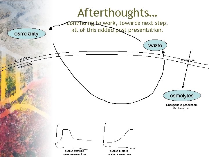 Afterthoughts… osmolarity continuing to work, towards next step, all of this added post presentation.