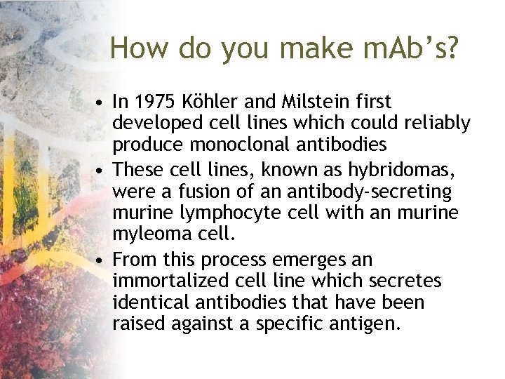 How do you make m. Ab’s? • In 1975 Köhler and Milstein first developed