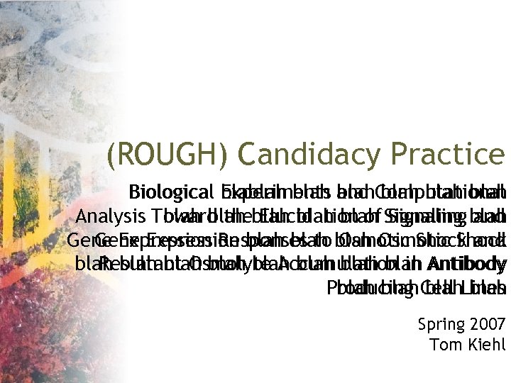 (ROUGH) Candidacy Practice Biological blablah. Computational Experiments and blah Analysis Toward theblah Signaling blah