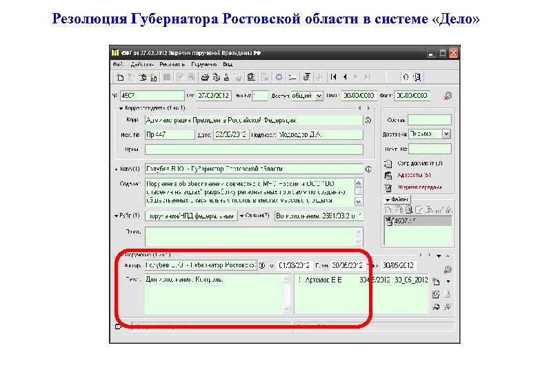 Резолюция Губернатора Ростовской области в системе «Дело» 