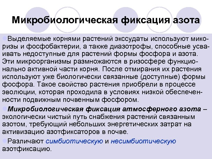 Микробиологическая фиксация азота l. Выделяемые корнями растений экссудаты используют мико ризы и фосфобактерии, а
