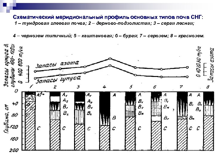 Схематический меридиональный профиль основных типов почв СНГ: 1 – тундровая глеевая почва; 2 –