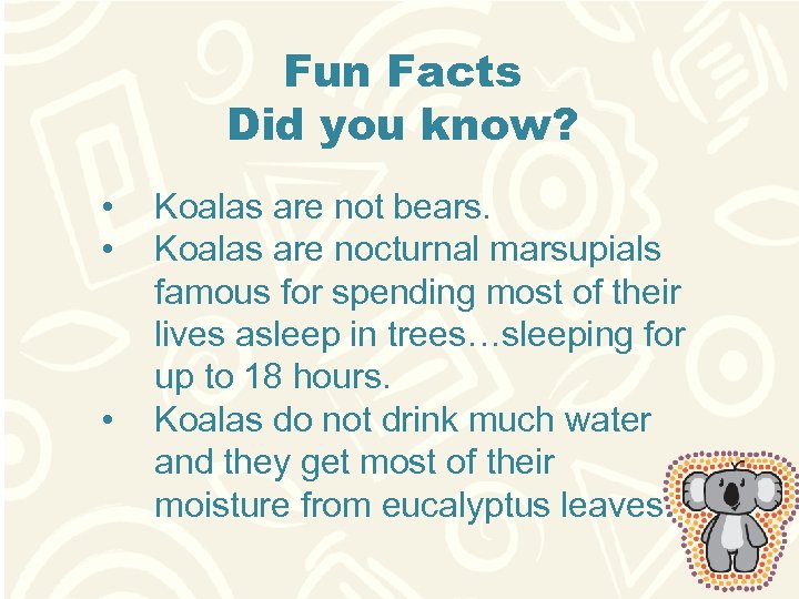 Fun Facts Did you know? • • • Koalas are not bears. Koalas are