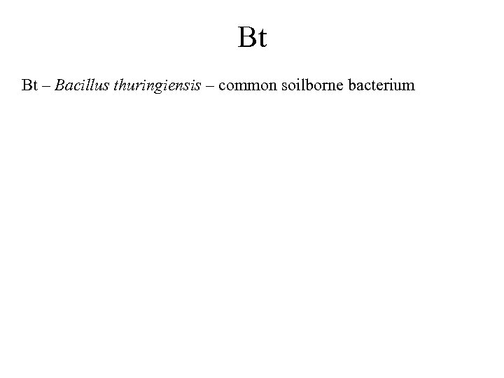 Bt Bt – Bacillus thuringiensis – common soilborne bacterium 