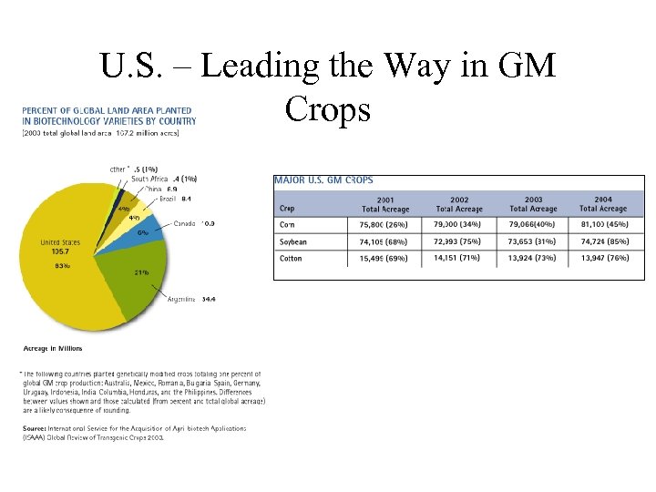 U. S. – Leading the Way in GM Crops 