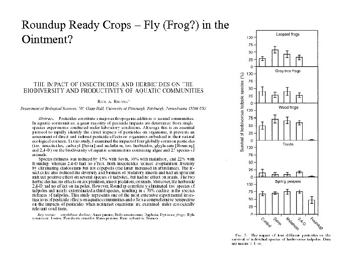 Roundup Ready Crops – Fly (Frog? ) in the Ointment? 