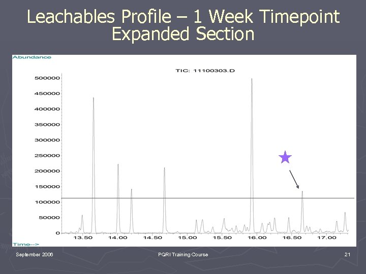 Leachables Profile – 1 Week Timepoint Expanded Section September 2006 PQRI Training Course 21