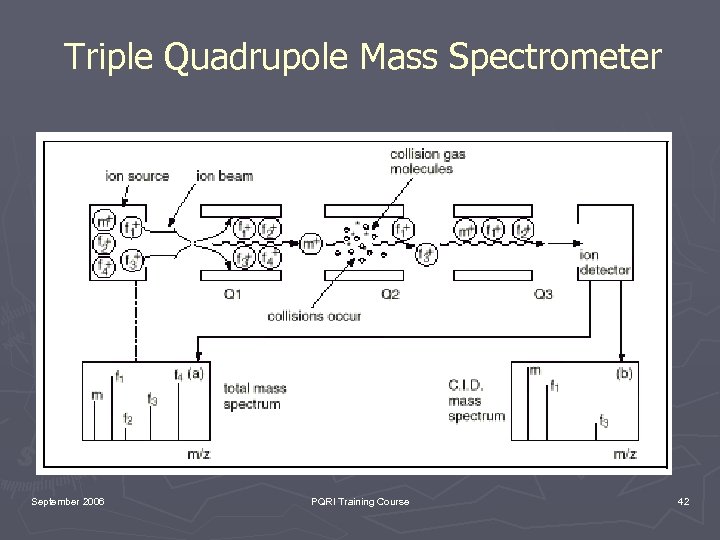 Triple Quadrupole Mass Spectrometer September 2006 PQRI Training Course 42 