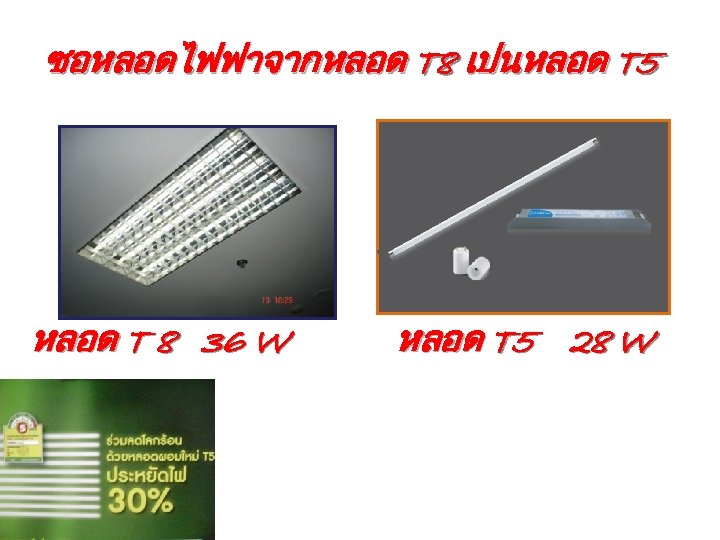 ซอหลอดไฟฟาจากหลอด T 8 เปนหลอด T 5 หลอด T 8 36 W หลอด T 5