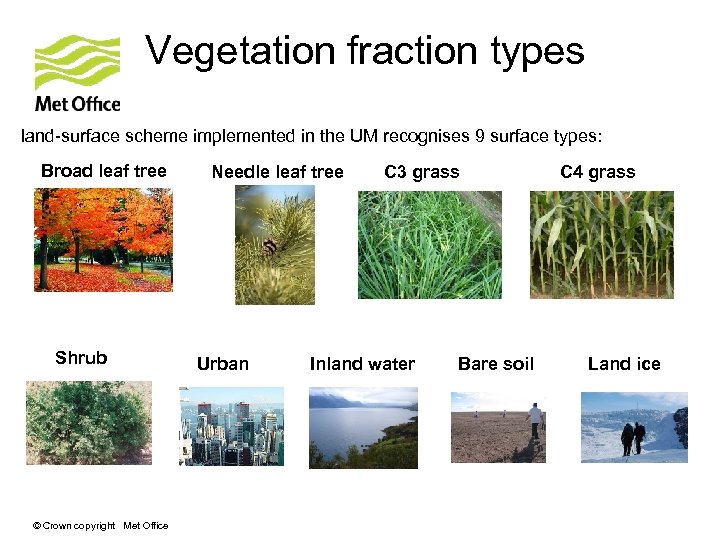 Vegetation fraction types land-surface scheme implemented in the UM recognises 9 surface types: Broad