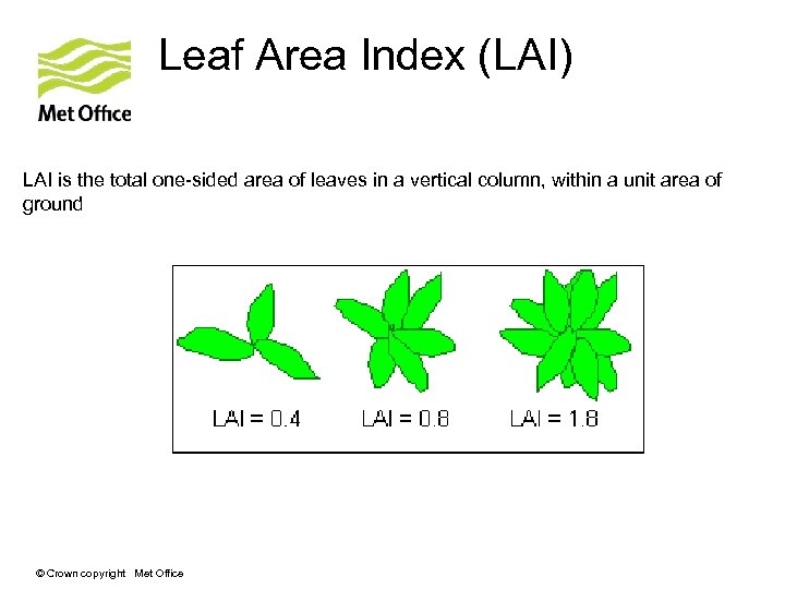 Leaf Area Index (LAI) LAI is the total one-sided area of leaves in a