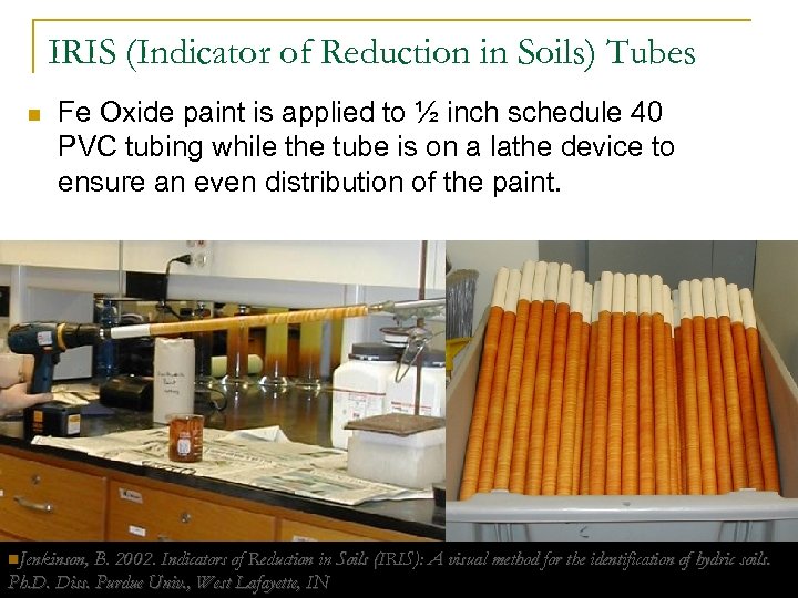 IRIS (Indicator of Reduction in Soils) Tubes n Fe Oxide paint is applied to
