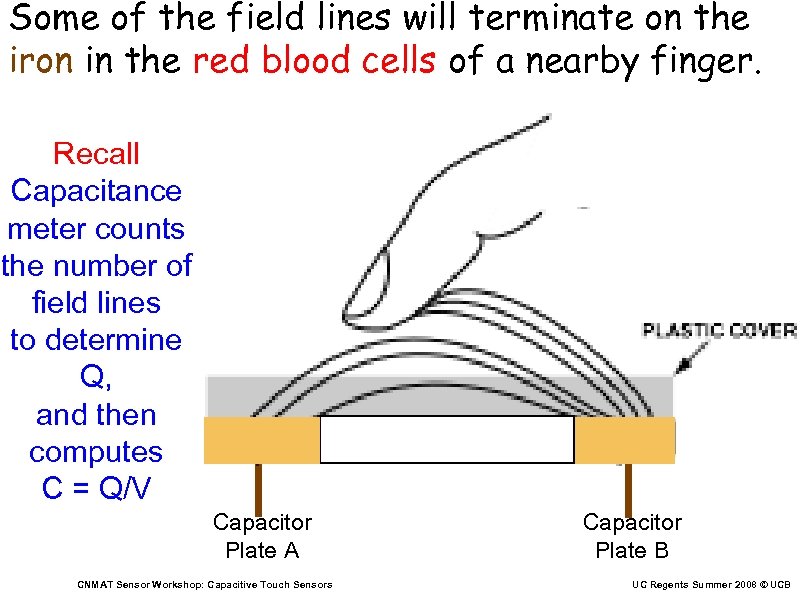Some of the field lines will terminate on the iron in the red blood