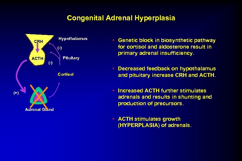 Congenital Adrenal Hyperplasia Hypothalamus CRH (-) ACTH Pituitary • Genetic block in biosynthetic pathway