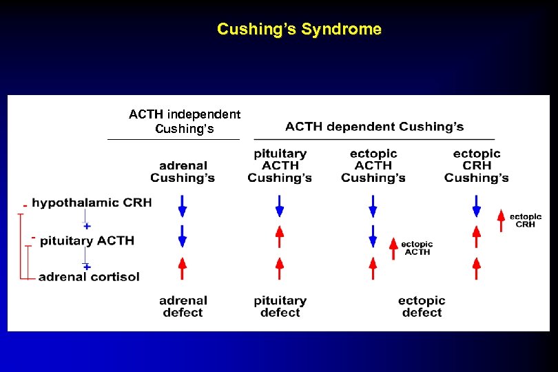Cushing’s Syndrome ACTH independent Cushing’s 