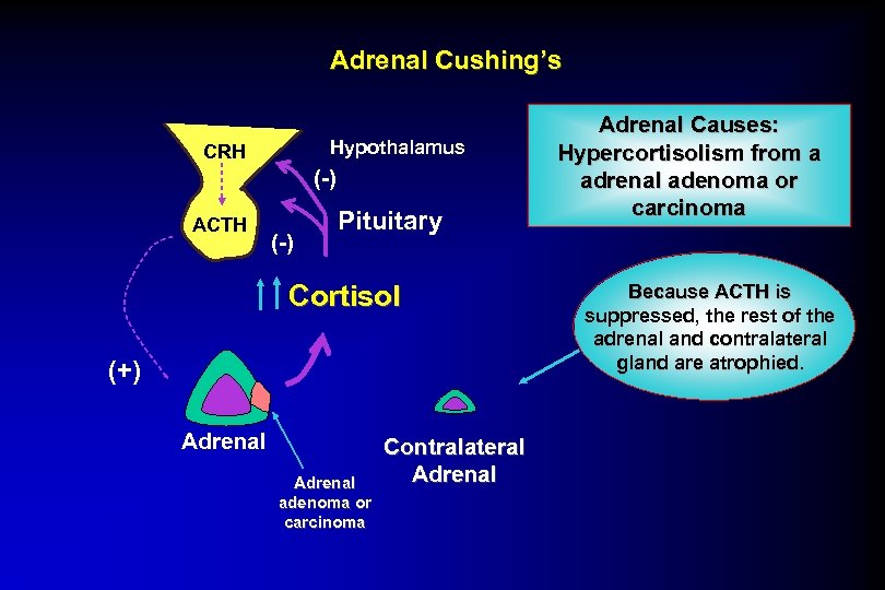 Adrenal Cushing’s Hypothalamus CRH (-) ACTH (-) Pituitary Cortisol (+) Adrenal adenoma or carcinoma