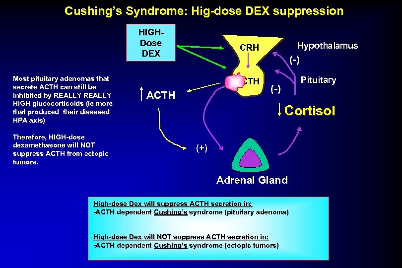 Cushing’s Syndrome: Hig-dose DEX suppression HIGHDose DEX Most pituitary adenomas that secrete ACTH can