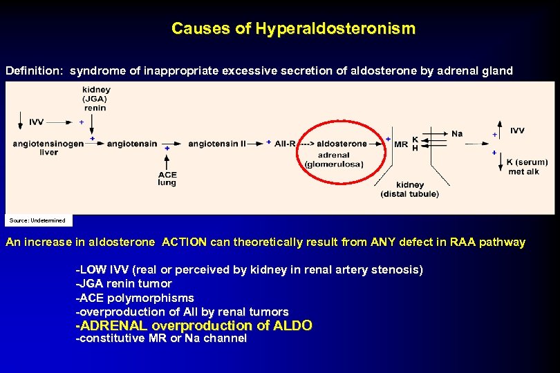 Causes of Hyperaldosteronism Definition: syndrome of inappropriate excessive secretion of aldosterone by adrenal gland