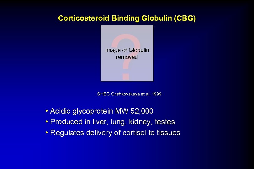 Corticosteroid Binding Globulin (CBG) ? Image of Globulin removed SHBG Grishkovskaya et al, 1999